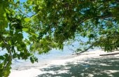Brar Homestay, Pulau Kri, Raja Ampat