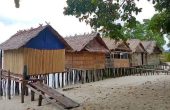 Subdikar Guest House, Pulau Manyaifun, West Waigeo, Raja Ampat