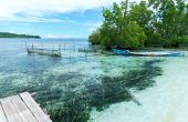 Subdikar Guest House, Pulau Manyaifun, West Waigeo, Raja Ampat