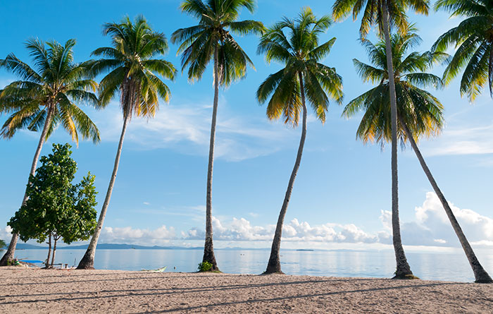 Gobi Signal Homestay, Yensawai, Batanta, Raja Ampat