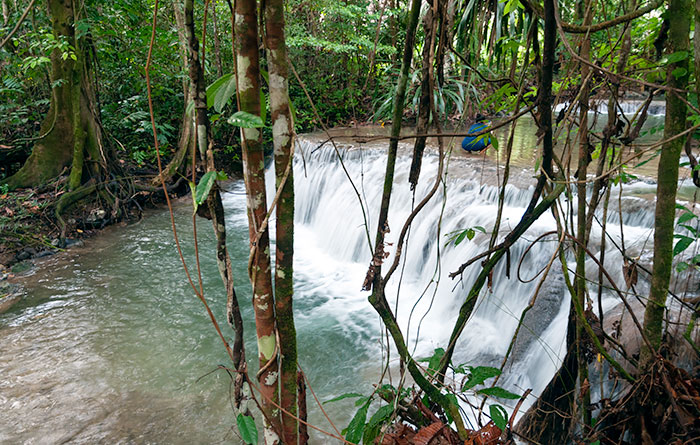 Kurawesi Homestay, Mumes, Waigeo, Raja Ampat