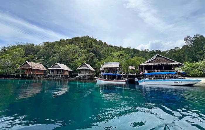 Avinsea Homestay, Pulau Gam, Raja Ampat