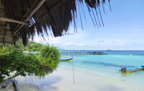 Coconut Homestay, Pulau Gam, Raja Ampat
