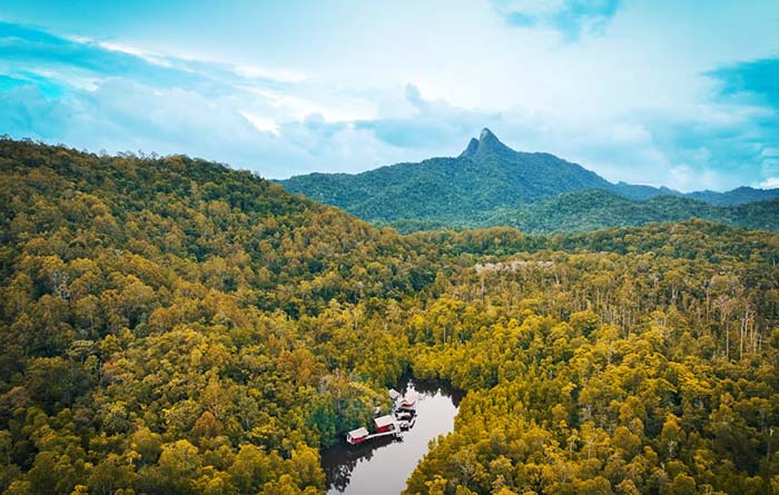 Saupon Mangrove Homestay, Waifoi, Mayalibit Bay, Waigeo, Raja Ampat