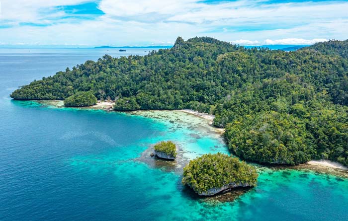 Wobbegong Homestay, Pulau Gam, Raja Ampat