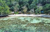 Wobbegong Homestay, Pulau Gam, Raja Ampat