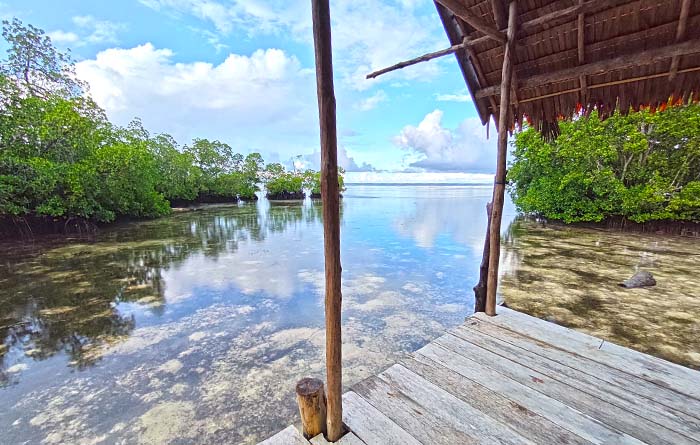 Walking Shark Guest House, Pulau Gam, Raja Ampat